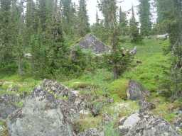 Cool rocks - no need for Japanese rocks gardens in Russia