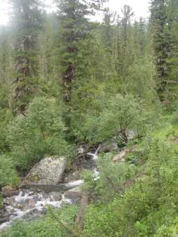 A stream and fog