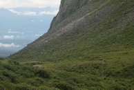 Mountain cows